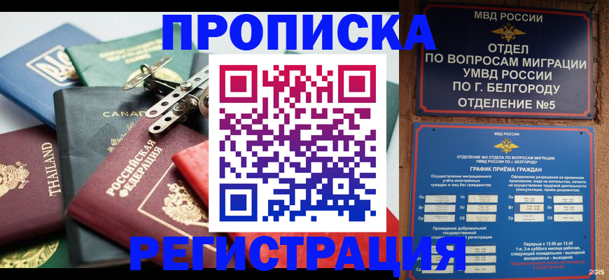 временная регистрация недорого в Далматово
